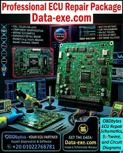 Load image into Gallery viewer, ECU REPAIR FULL DATA (Professional Package)