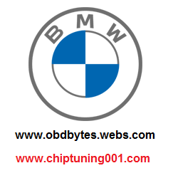 BMW package contains BMW modules Coding software+PDF manuals and videos+BMW Self Study Course Workshop Manuals+ECU EWS CAS DME DDE Editor