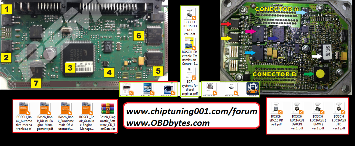 Current Database With Ecu Connection Diagrams – QZEOF